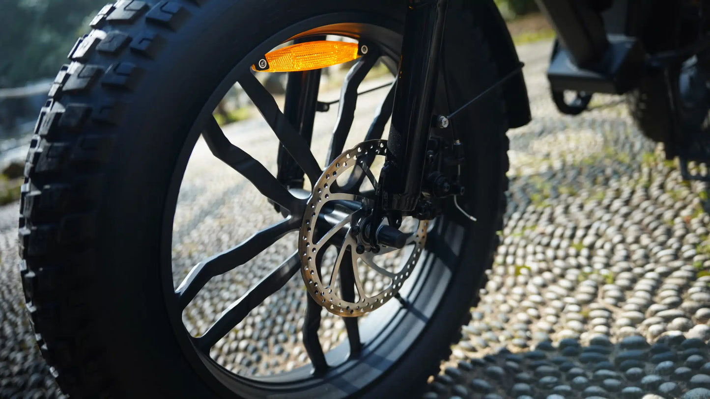 Ape Ryder Colobus Premium E-bike