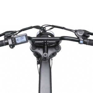 Ape Ryder Colobus Premium E-bike