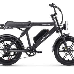 Ape Ryder Colobus Premium E-bike